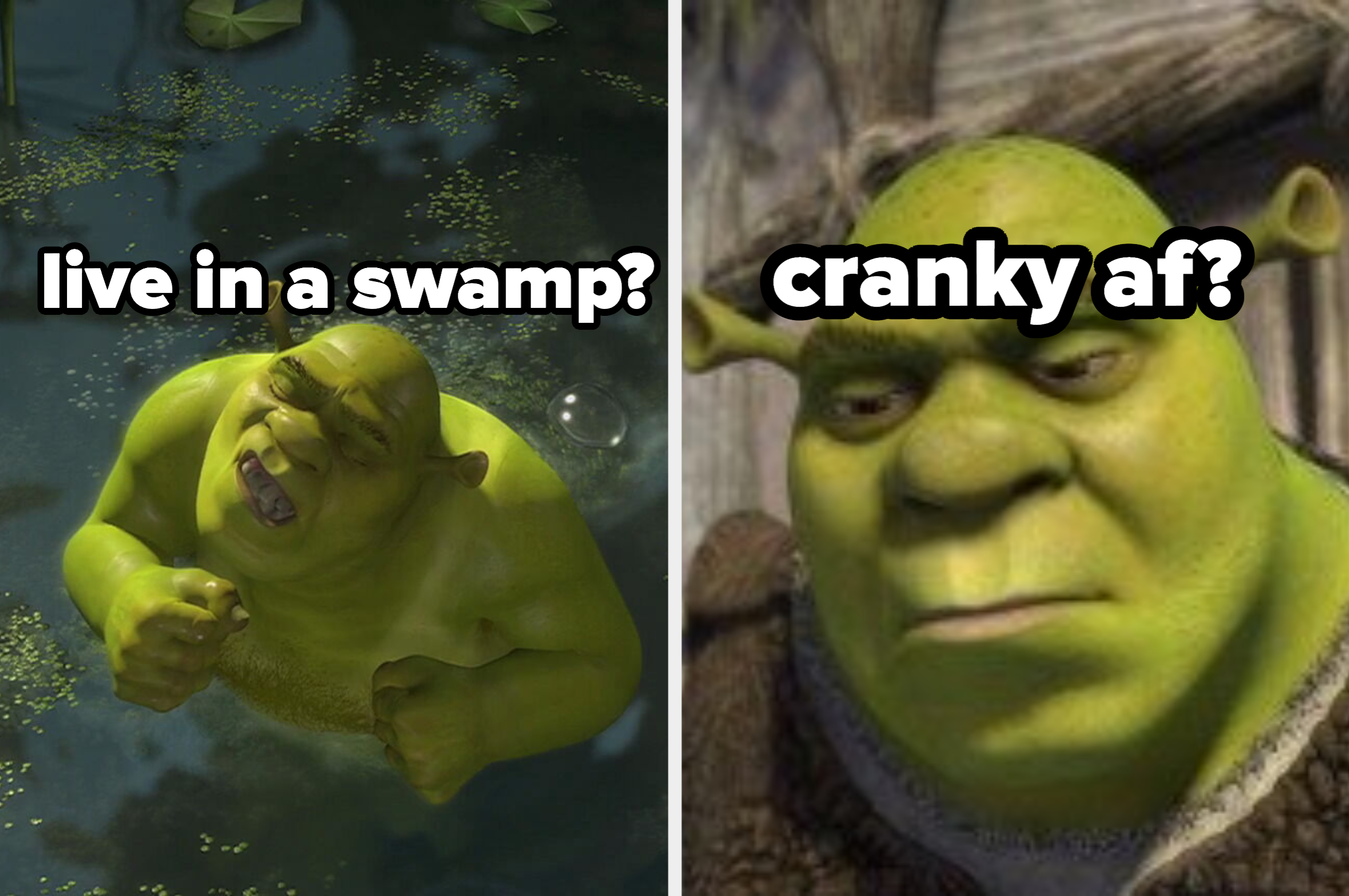 Shrek Exposed