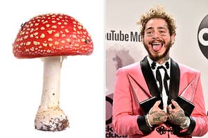 a mushroom on the left and post malone on the right
