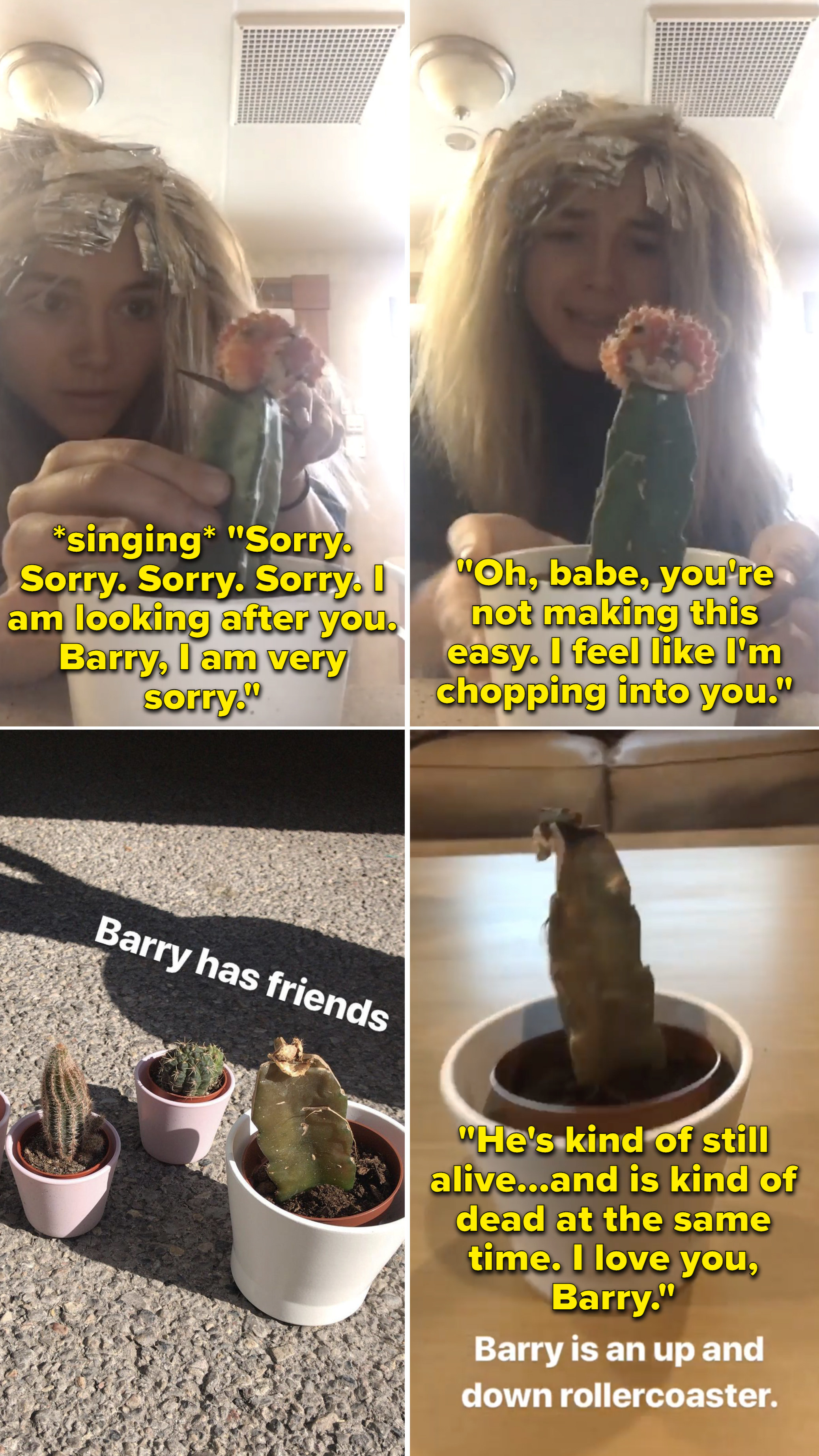 Florence cutting into her cactus and singing, &quot;Sorry. Sorry. Sorry. Sorry. I am looking after you. Barry, I am very sorry&quot;