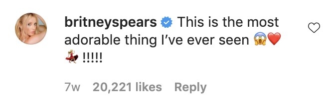 A screenshot of Britney&#x27;s comment