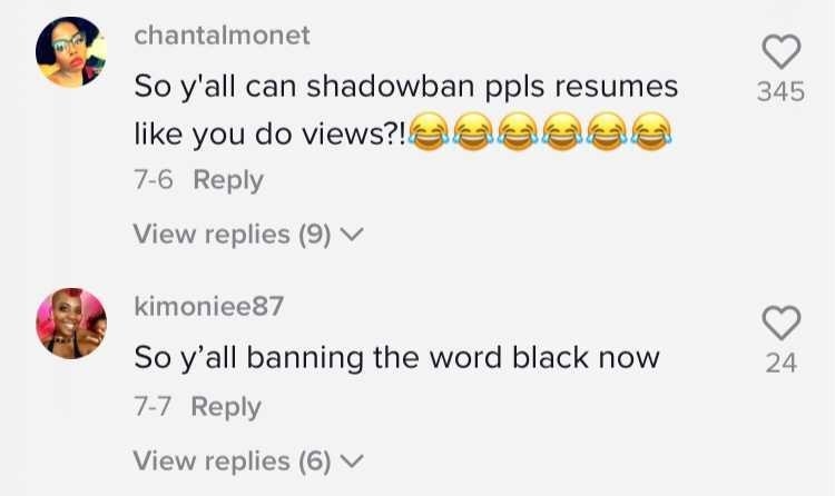 Commenters saying "So you can shadowban people's resumes like you do views?" and "So y'all banning the word black now"