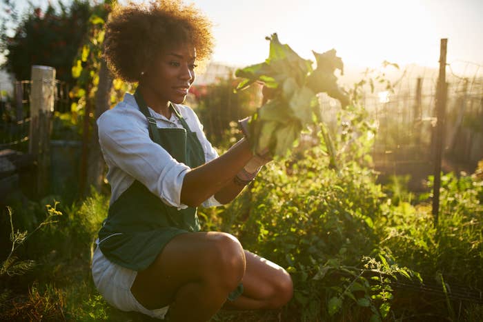 a woman crouching down and holding a plant in a garden