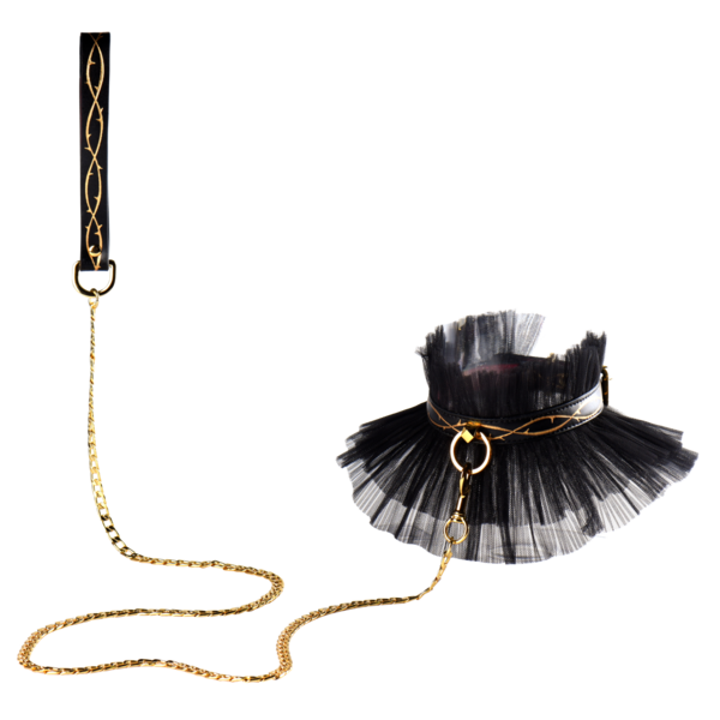 Collar and goldtone leash