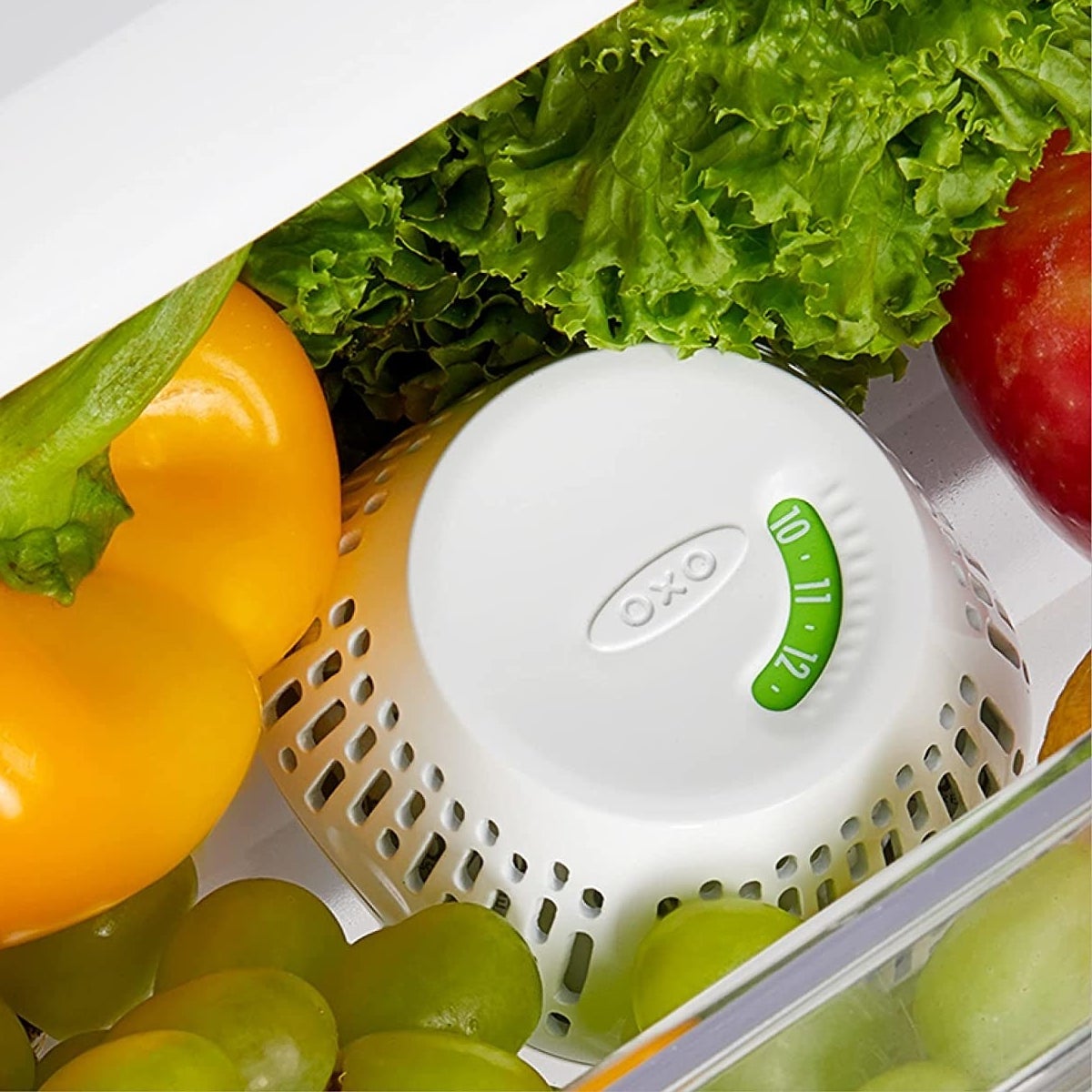 One of the produce savers inside a crisper surrounded by fresh produce