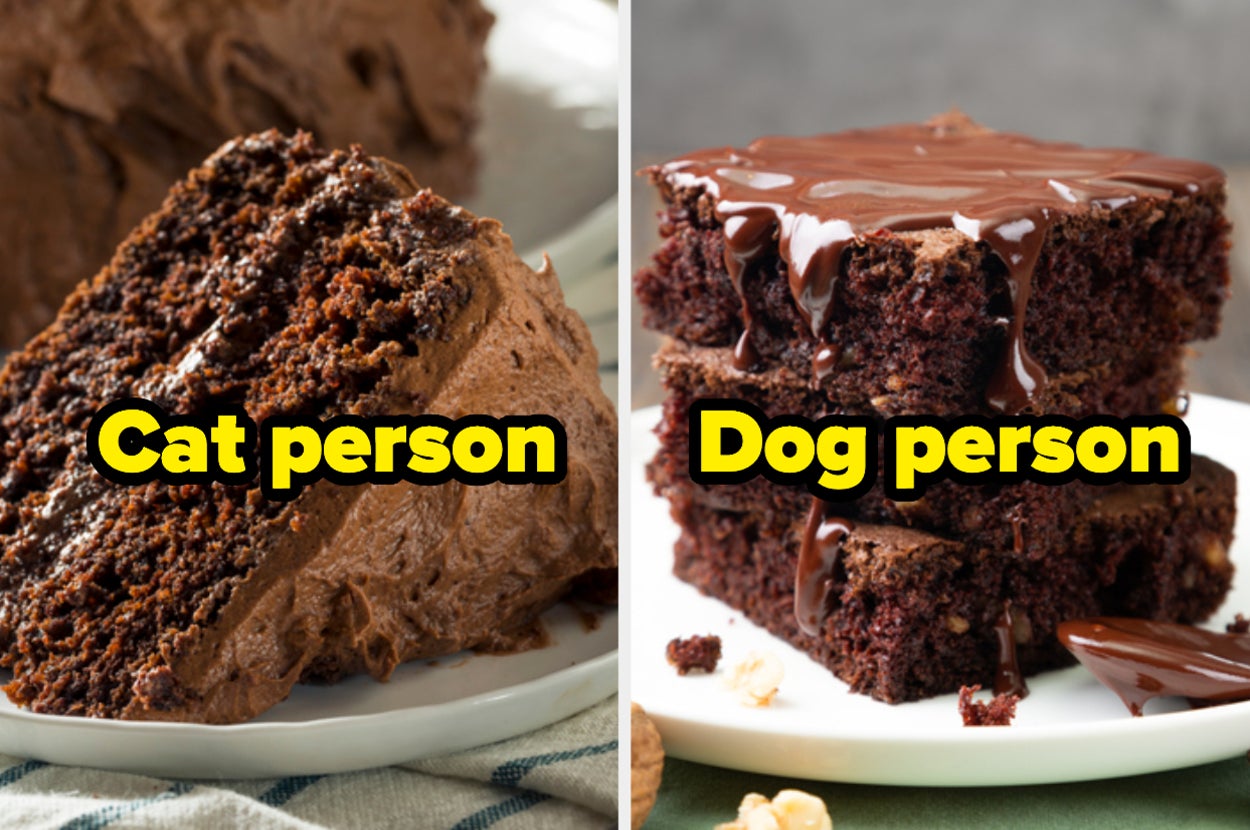 Chocolate cake with the words "cat person" on top, and brownies with the words "dog person" on top