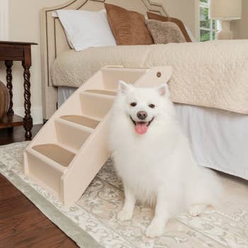 A dog standing next to the pet stairs leading up to a bed