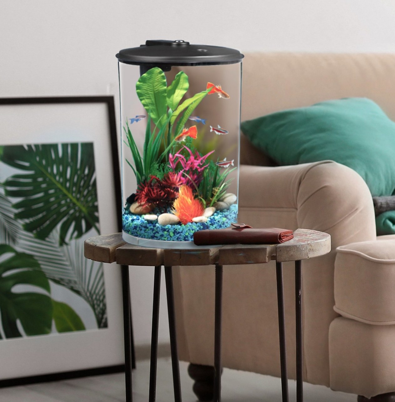fish tank in living room