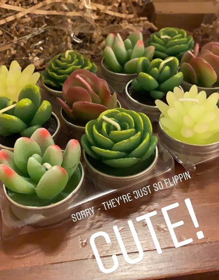Reviewer photo of 11 succulent candles in a container with the text overlay &quot;Sorry, they&#x27;re just so flippin cute&quot; on the image