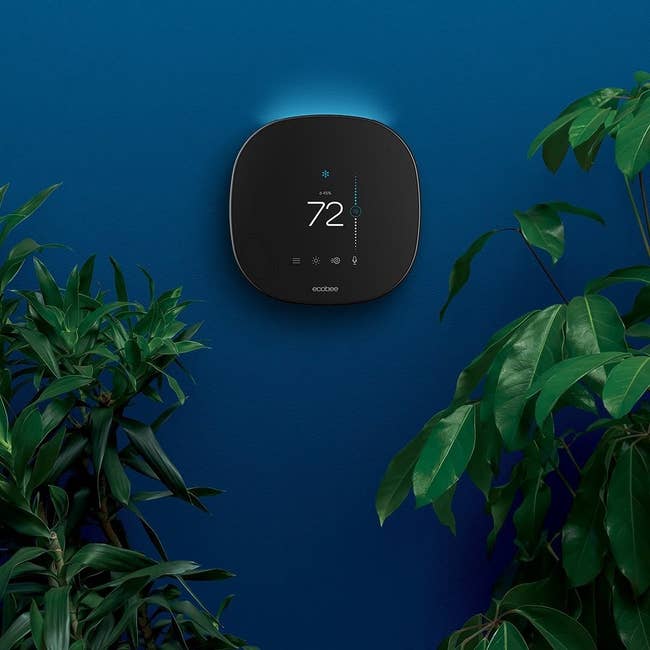 The thermostat on a wall surrounded by plants