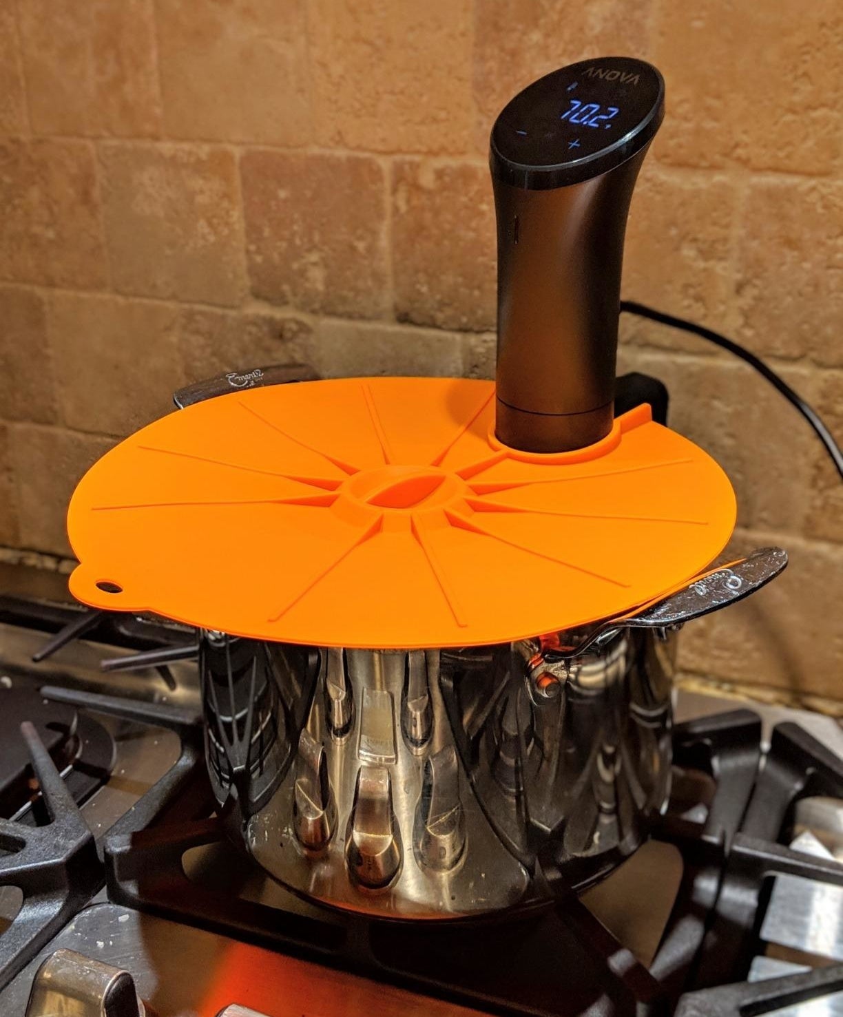 Reviewer image of using the precision cooker