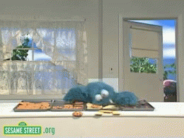 cookie monster from sesame street gobbling up some cookies