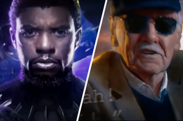 Black Panther and Stan Lee in the Marvel intros