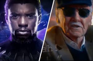 Black Panther and Stan Lee in the Marvel intros