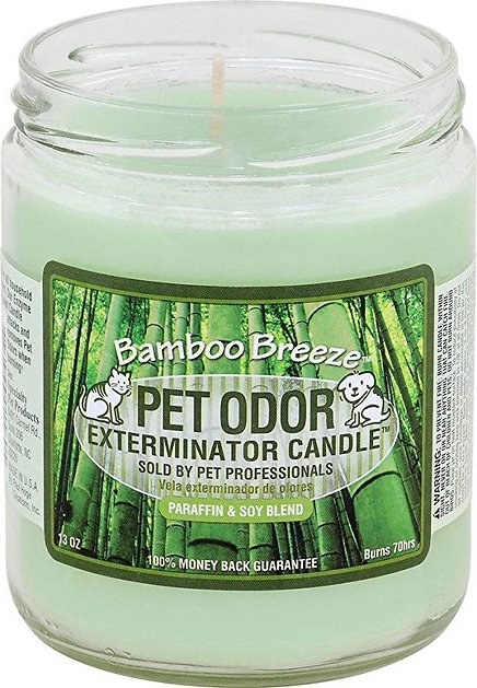 The green Bamboo Breeze-scented candle