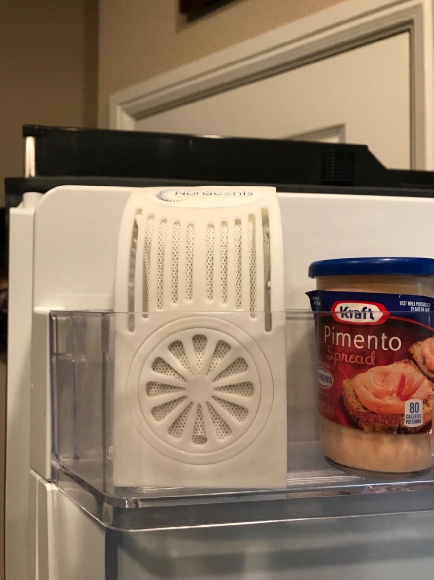 the refrigerator deodorizer in a reviewer&#x27;s fridge