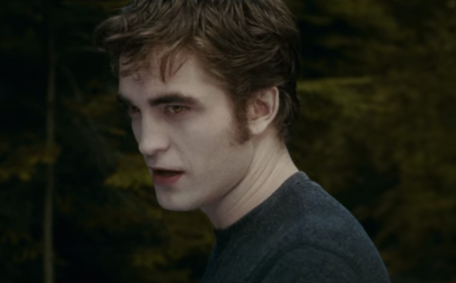 Edward stands in the forest with a fierce expression on his face