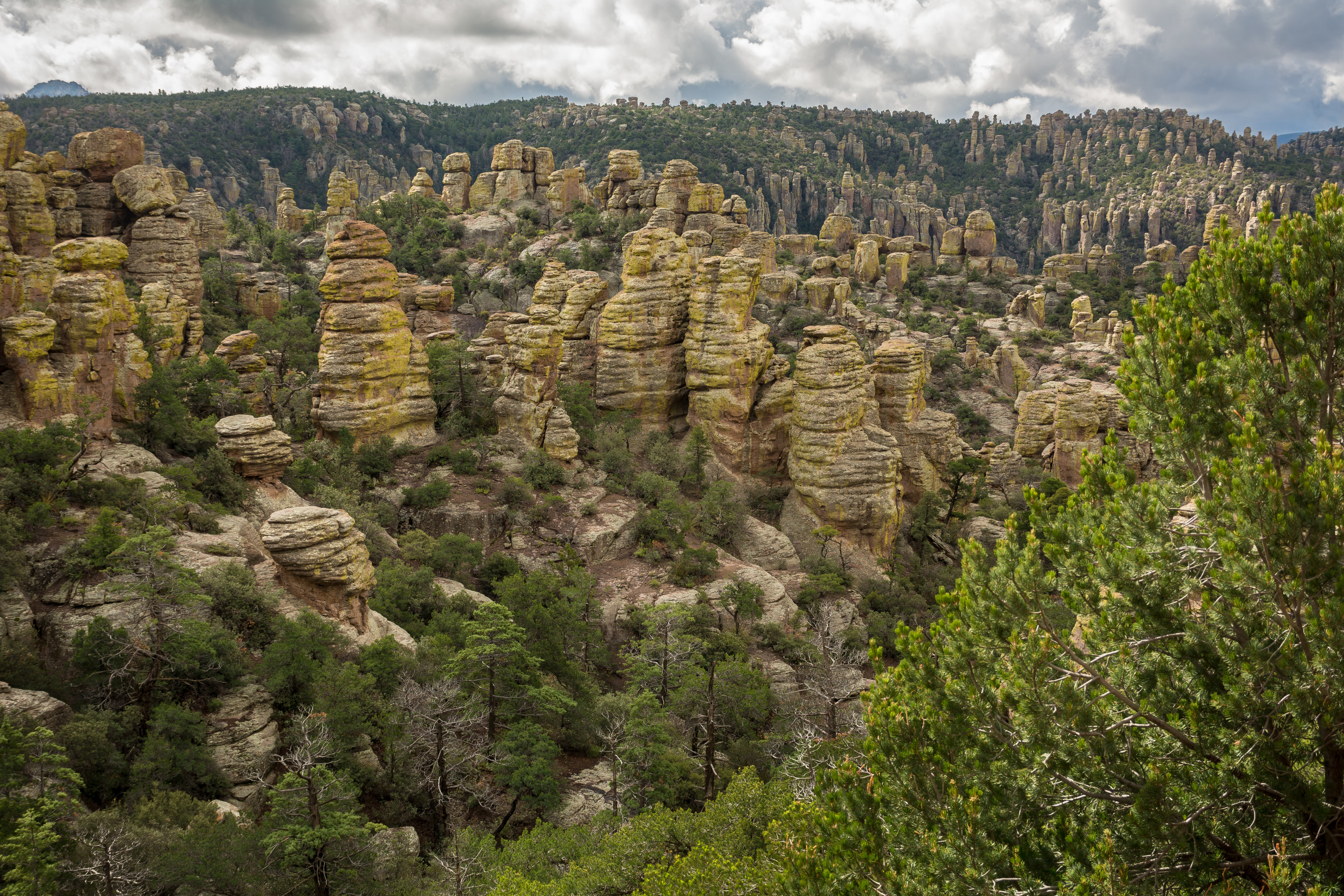 Rows of lime-streaked stone pillars of Chiricahua National Monument