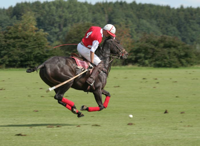 Polo player hitting a ball while on a horse