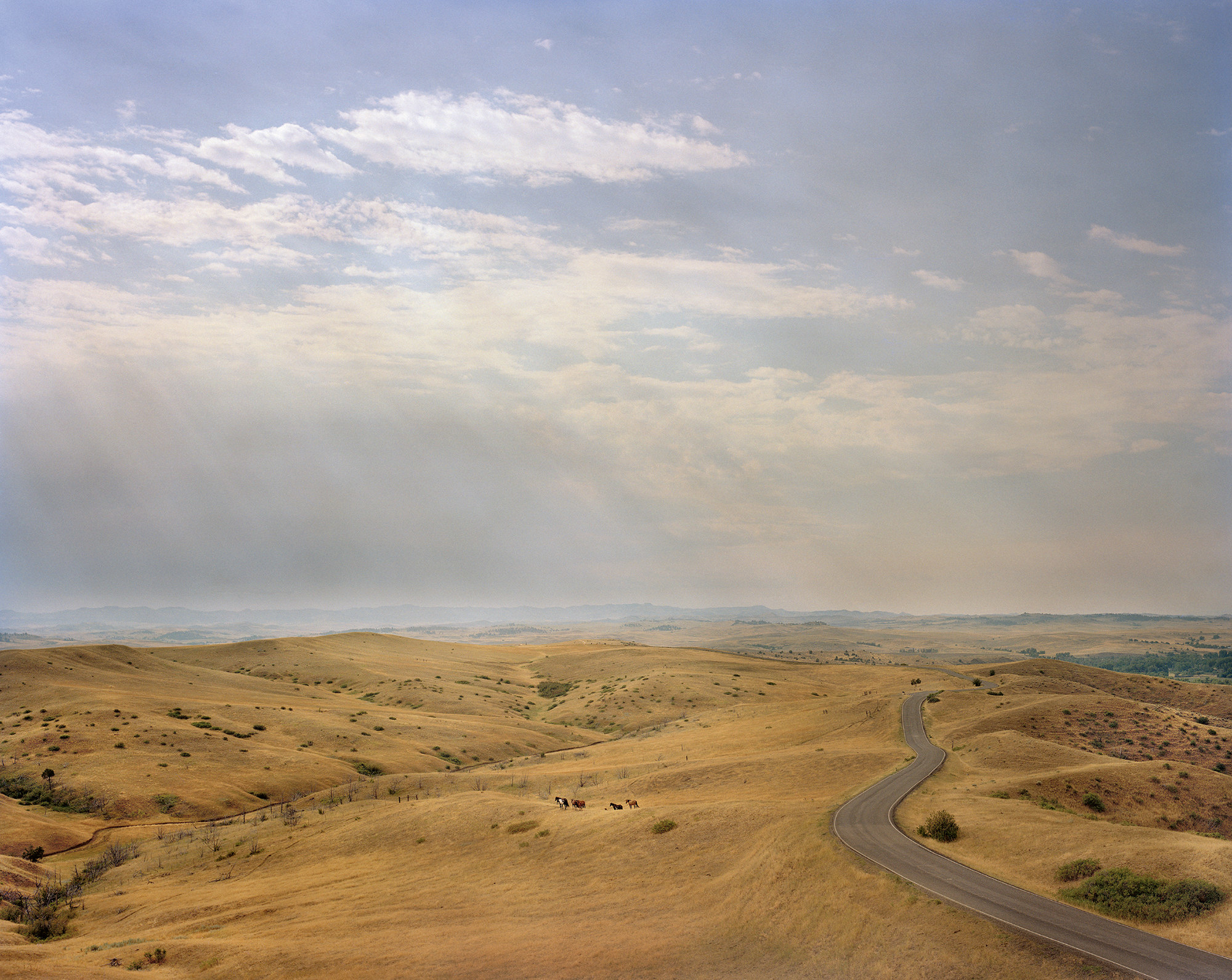 Horses appear as small images against a backdrop of highway and arid land