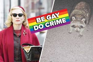 carol next to a tricksters raccoon with a sign that says be gay, do crime