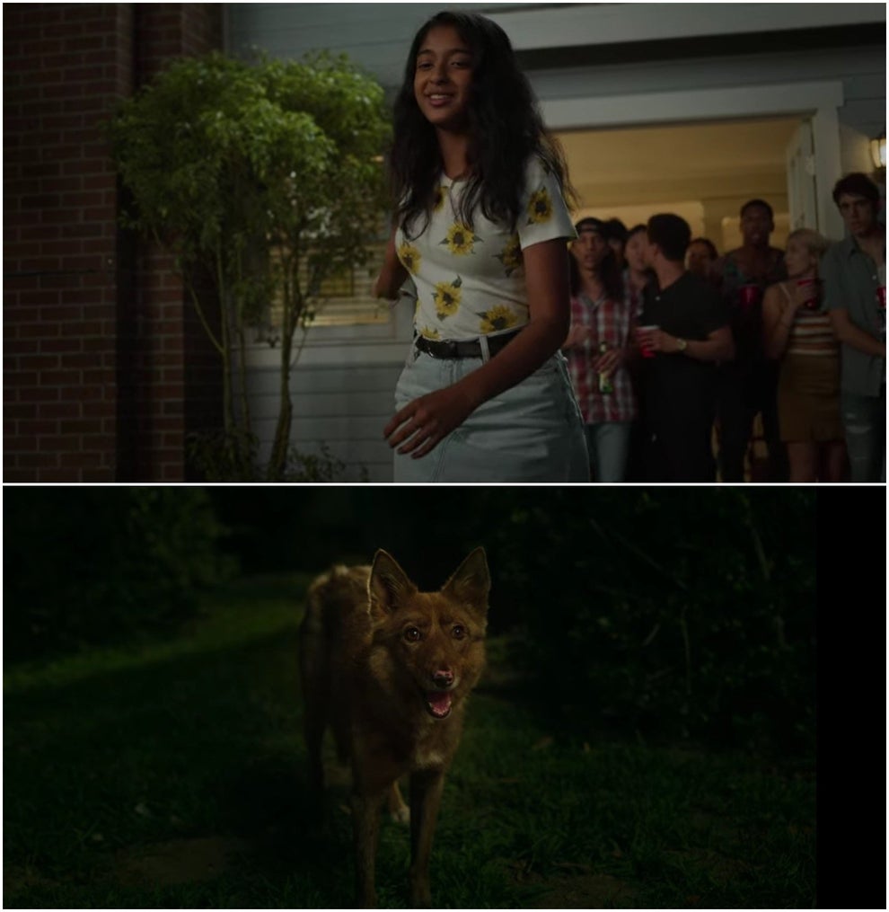 21 Best Moments From Netflix's "Never Have I Ever"