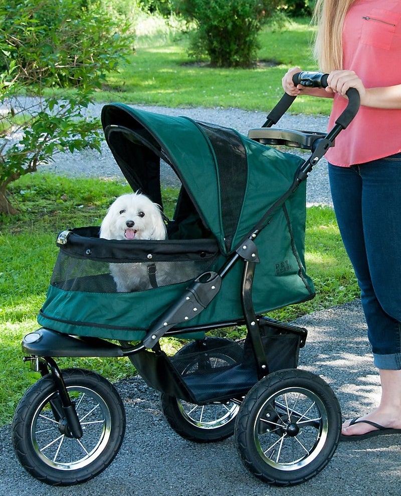 A model using the pet stroller with a storage basket and durable wheels to transport their dog