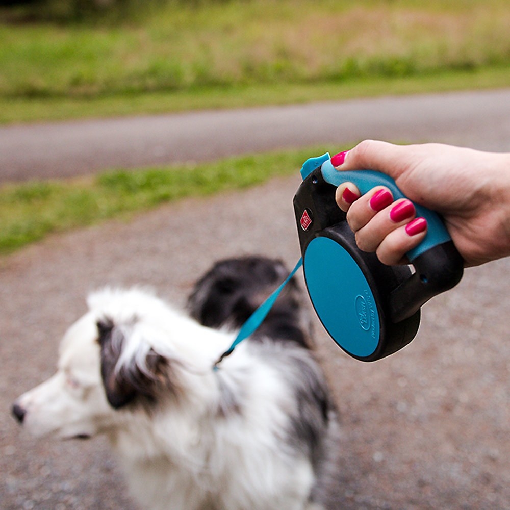 A model using the blue retractable leash with their dog on a walk