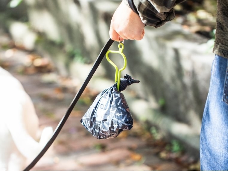 the lime green holder attached to a leash