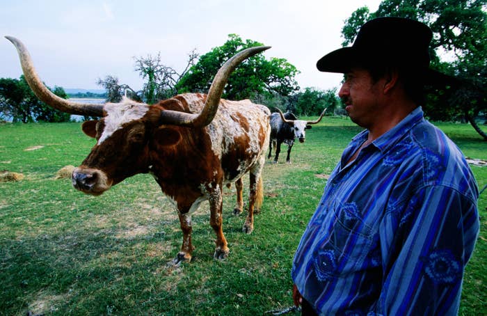 Bandera, Texas