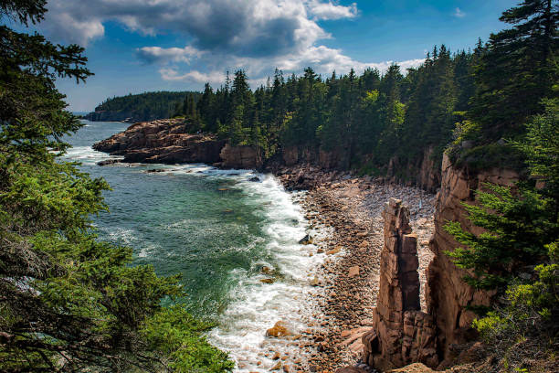 Monument Cove Acadia National Park