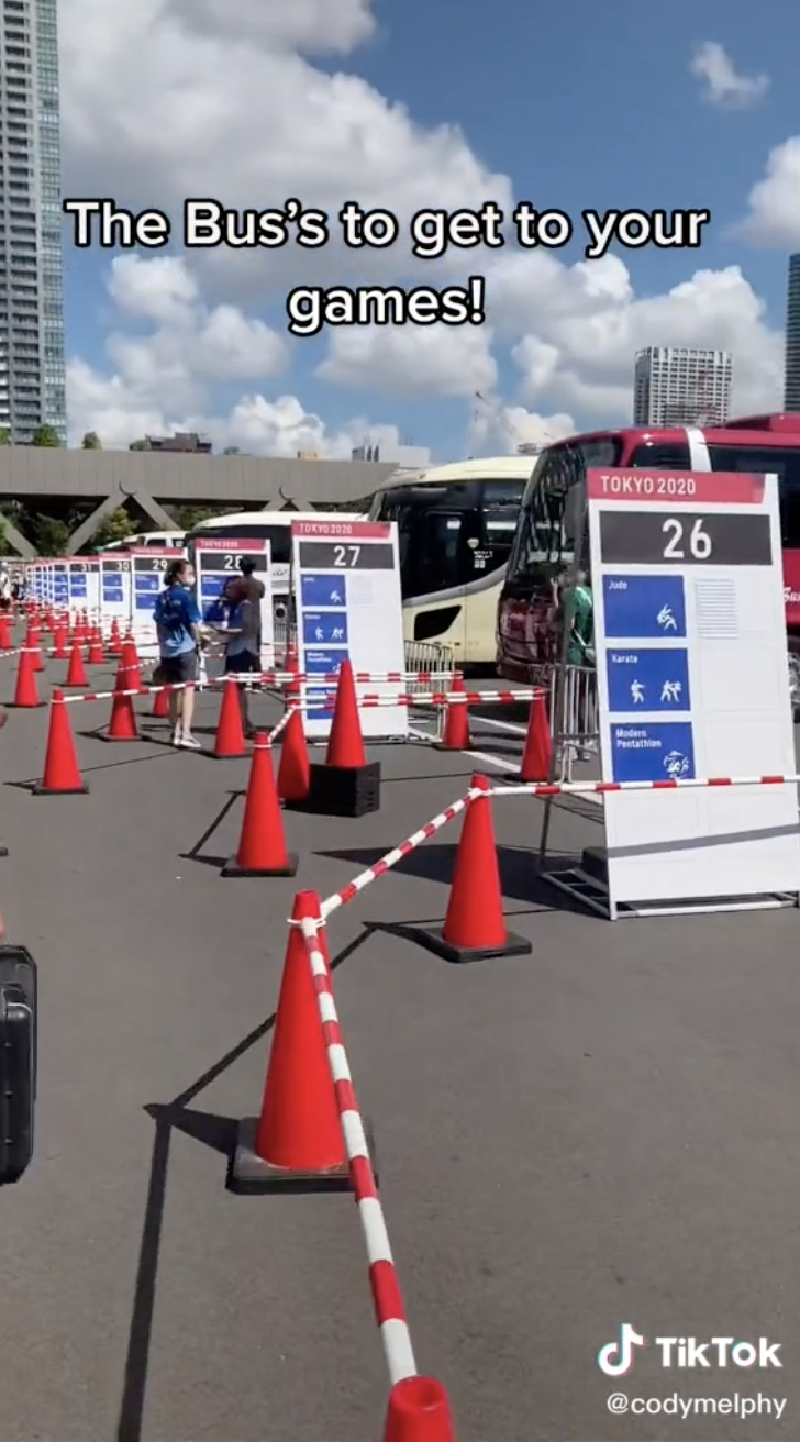 A line of buses