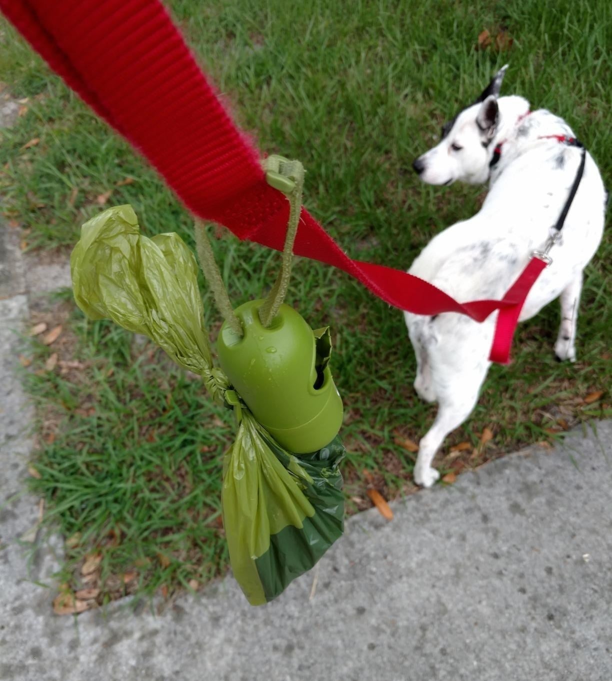 Reviewer photo of the poop bags and dispenser attached to a red leash with a dog in the background