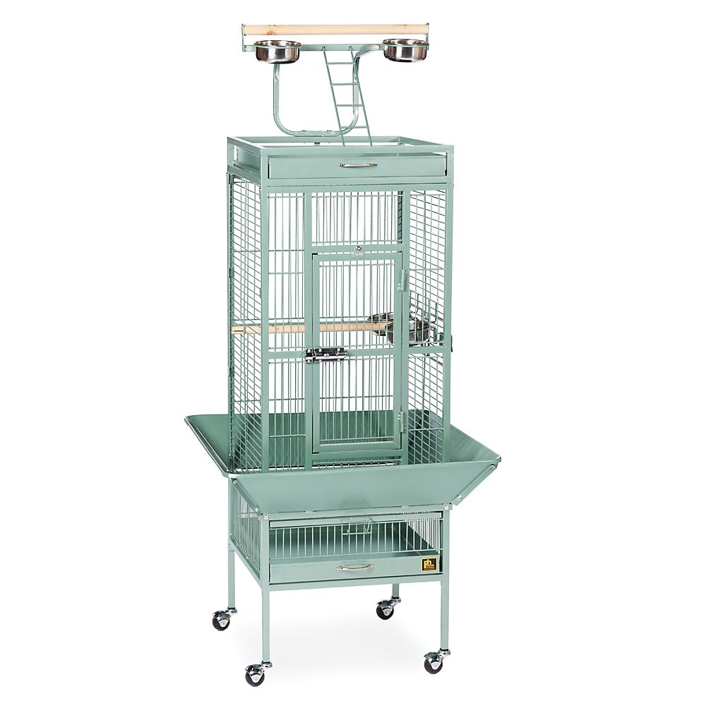 the wrought iron birdcage in sage green