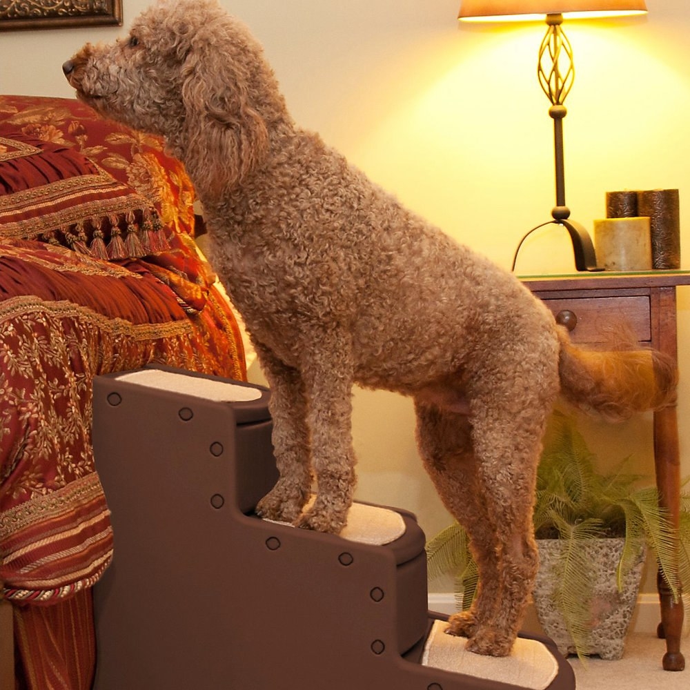 A dog using the pet steps to reach a tall couch