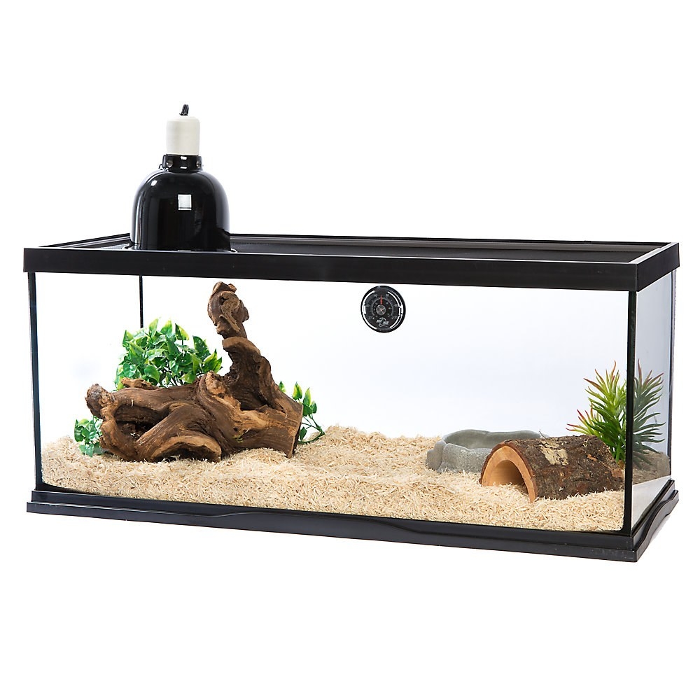 The snake terrarium with a dome lamp, thermometer, bedding and more