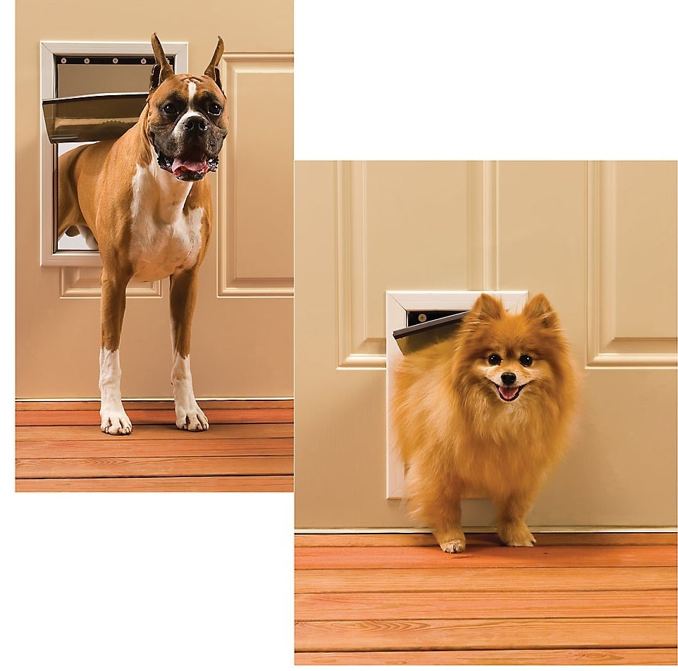 Two dogs using the small  pet door