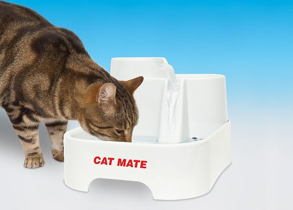 A cat drinking from the lower level of the white pet fountain