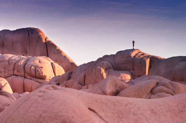 person looks into the distance with binoculars while standing on top of unique rock formation in Joshua Tree National Park
