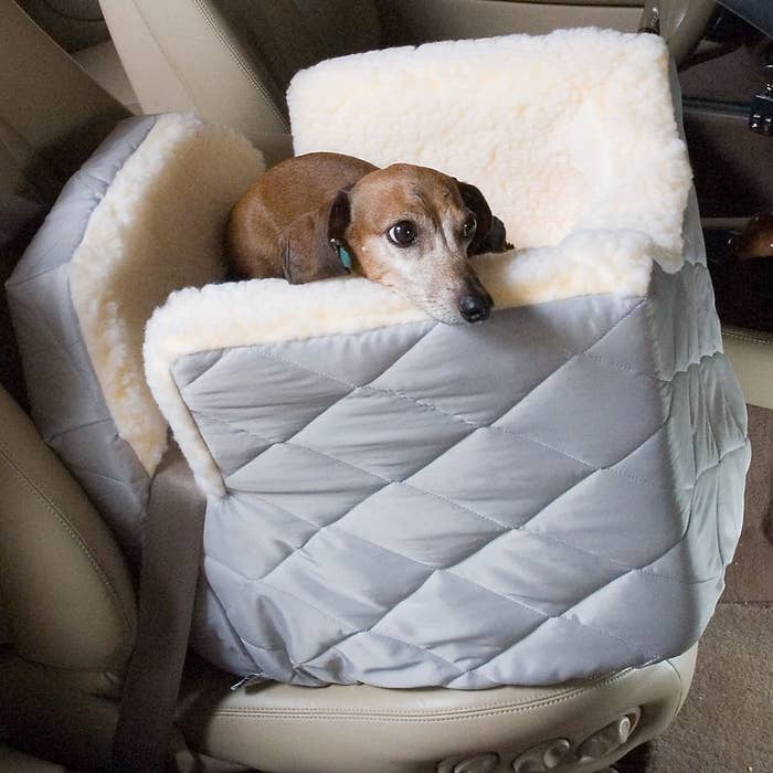 A dog resting in the car seat in the backseat of a car
