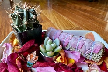 a cactus with a sage stick, succulent votive candle, and succulent theme enamel pin 