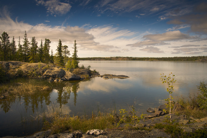 nature scene with trees and a lake in northwest territories