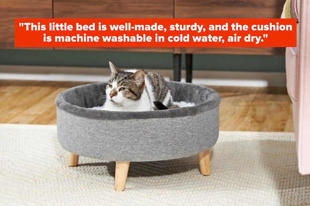An image of a cat inside an elevated cat bad
