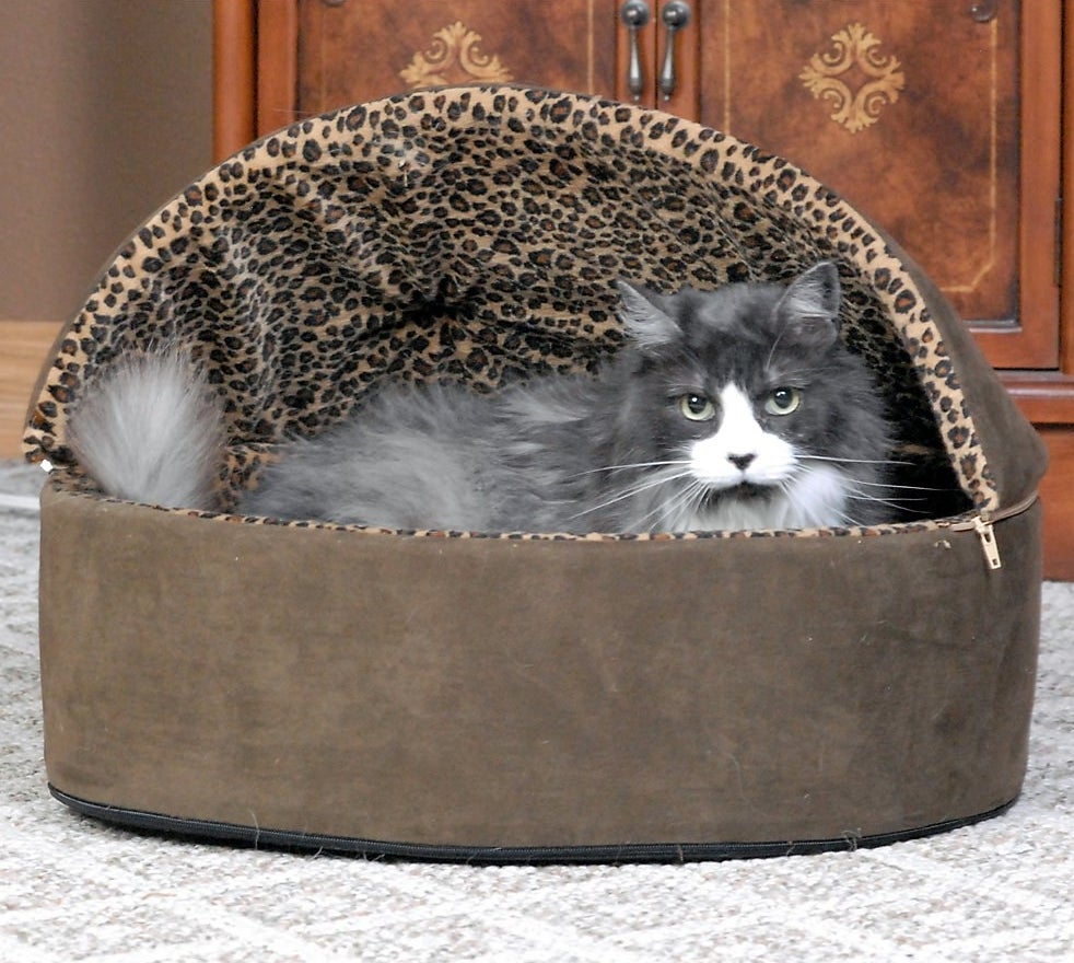 A cat resting in the bed with a leopard-print interior