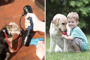 human holding leash and kid giving dog a toy