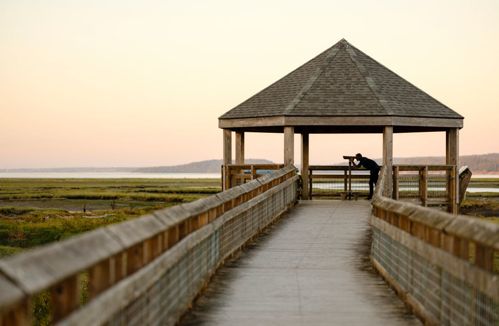 A person looking through binoculars bird watching in Nisqually National Wildlife Refuge in Washington