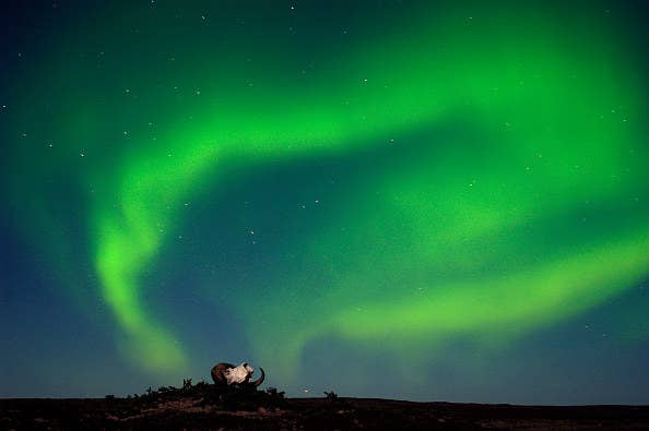 photo of northern lights in northwest territories