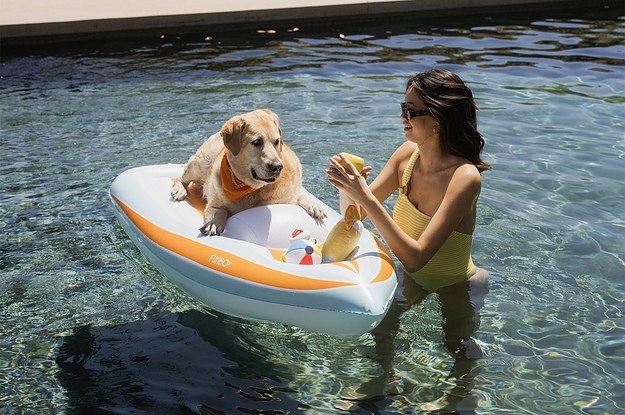 white and orange pool float sized for a dog with a yellow lab chilling on it in water with a model next to it