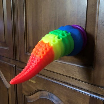 Rainbow-colored tentacle dildo attached to wall