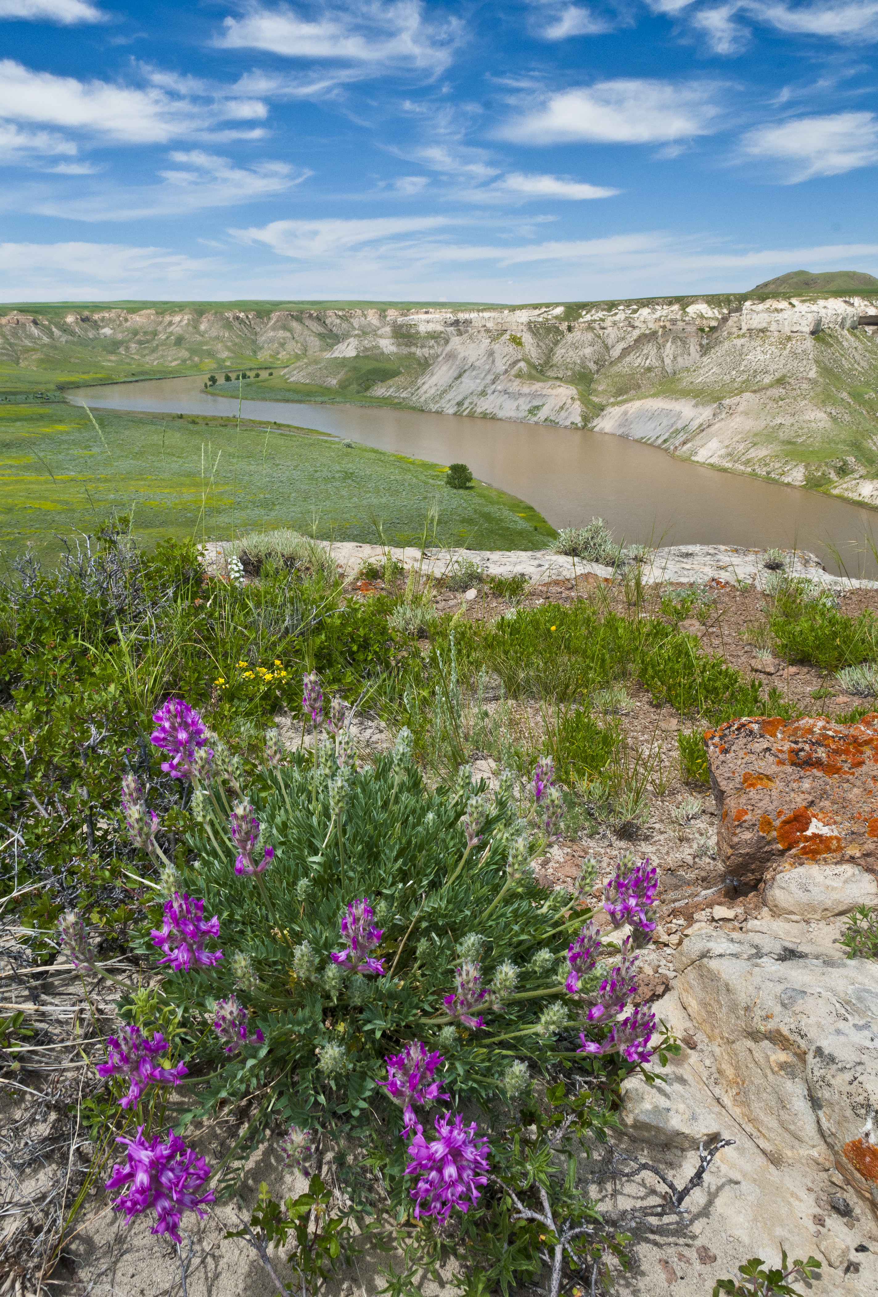 A tranquil waterway cuts through flat hills of the Upper Missouri River Breaks