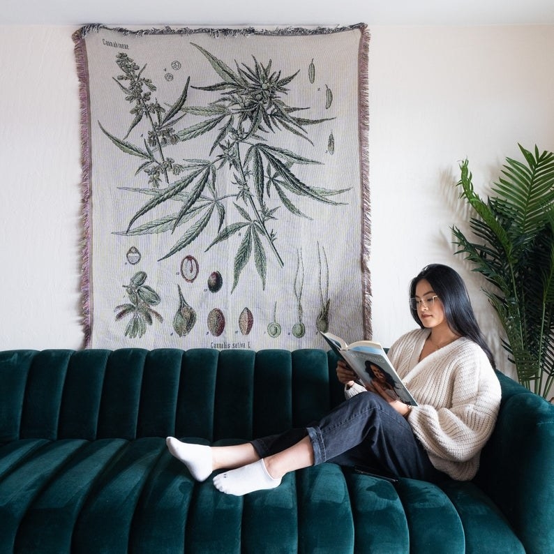 tassel tapestry blanket on wall with deconstructed plant illustration
